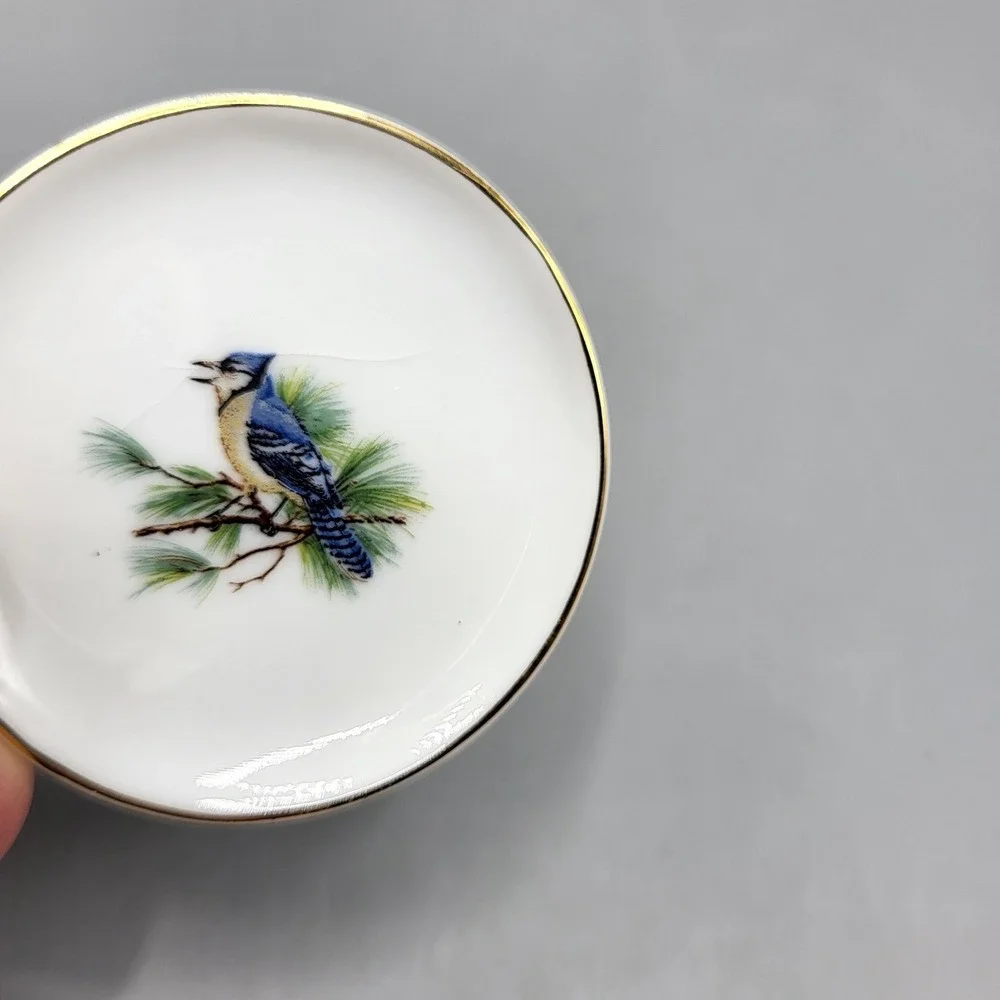 Bird Miniature Plate Magnets 2
